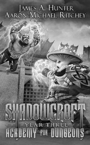 [Shadowcroft Academy 03] • Shadowcroft Academy For Dungeons · Year Three